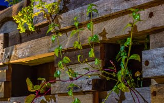 landscape design newcastle