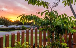 landscape design nelson bay