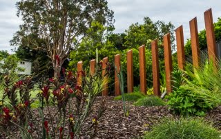 landscape design nelson bay