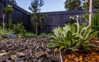 landscape design the junction