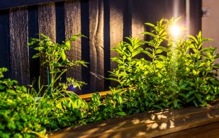landscape design the junction