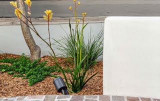 Filetti paving with original home and garden behind