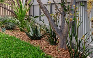 Soft landscape plants against metal boundary wall