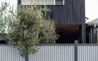 Mature trees against bold dark architecture
